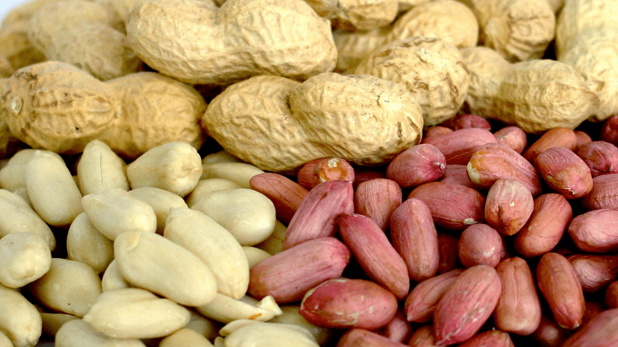 maapähklid ja mandlid potentsi jaoks