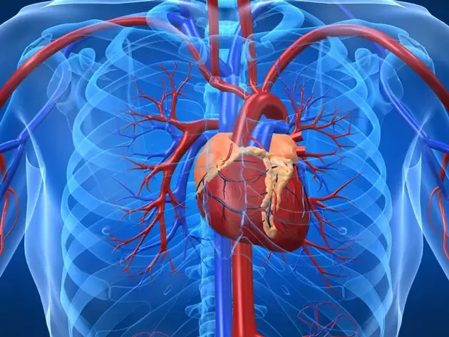 Potentsi tõstvad harjutused on vastunäidustatud südamehaiguste korral